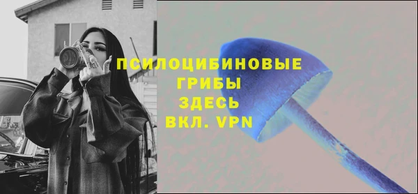 скорость Новозыбков
