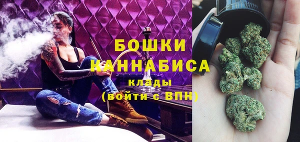 стафф Новокубанск