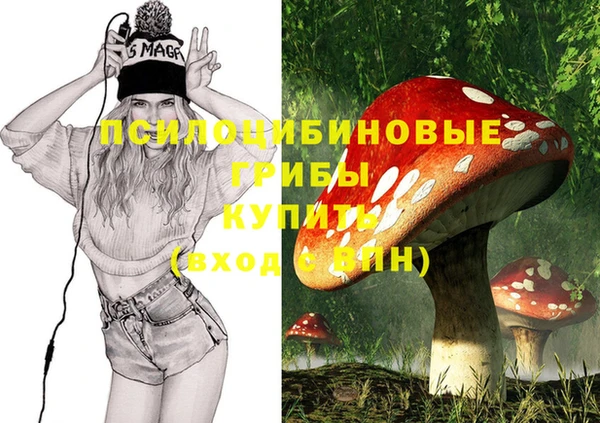 таблы Новодвинск