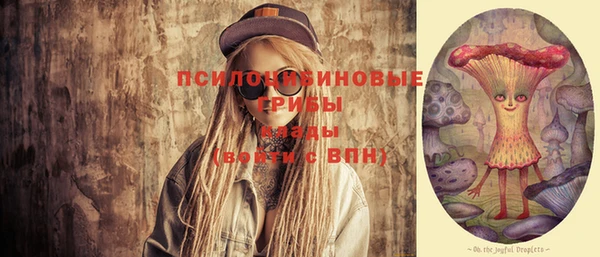 стафф Новокубанск